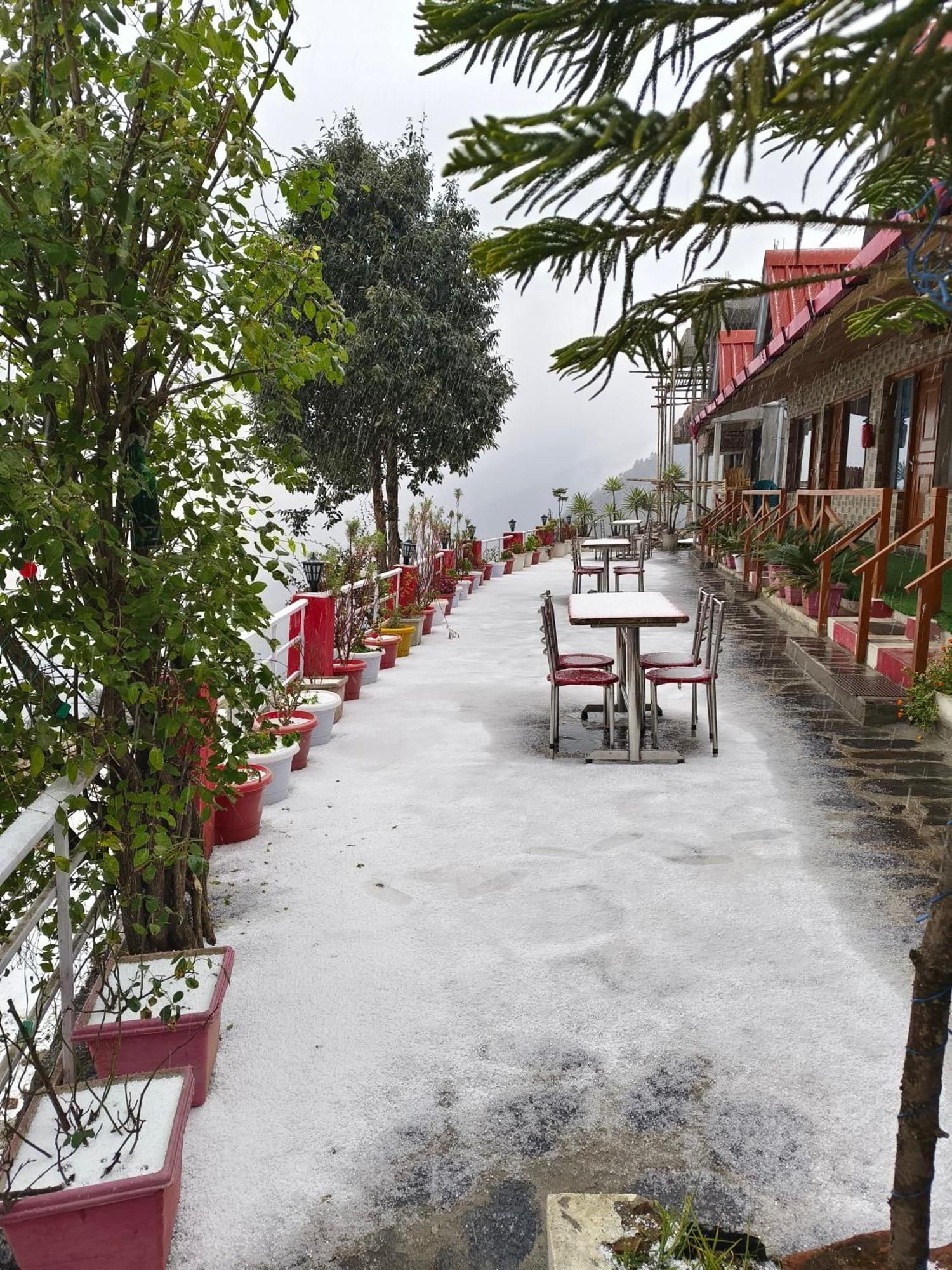Naina Bird Cottage Nainital Exterior foto